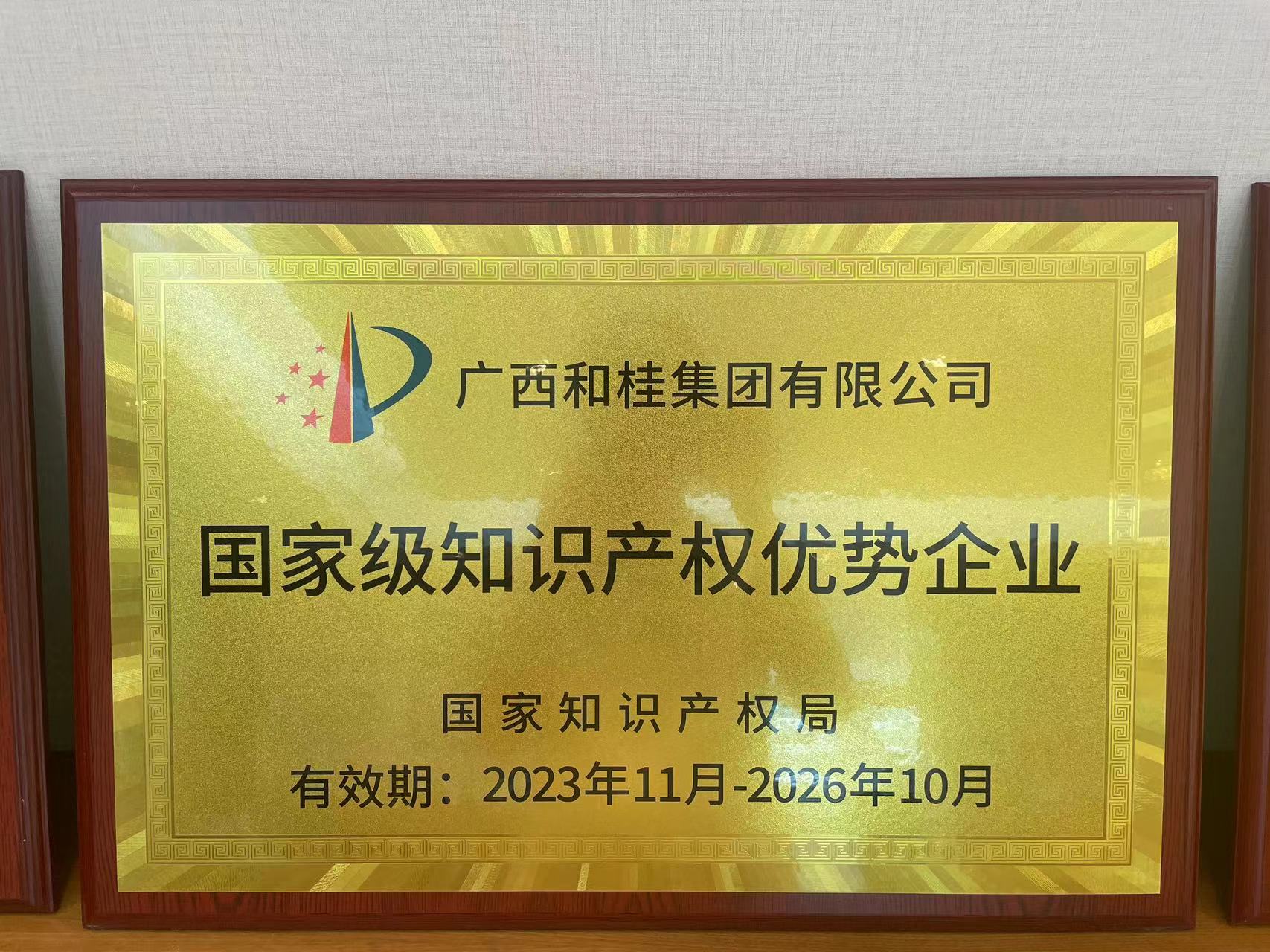 国家级知识产权优势企业